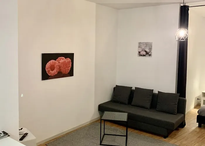 Appartement Cosy - Hypercentre - Calme - 50m2 - Wi-fi Graulhet